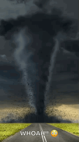 untitled.gif