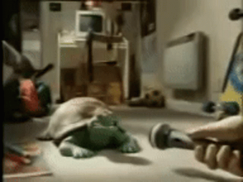 untitled.gif