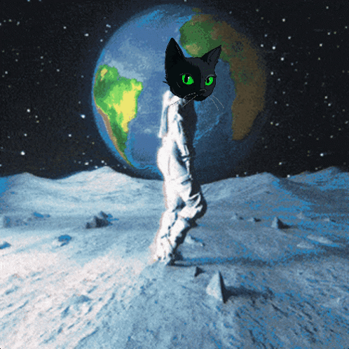 untitled.gif