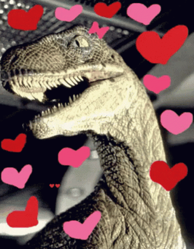 untitled.gif