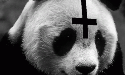 untitled.gif