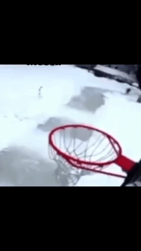 untitled.gif