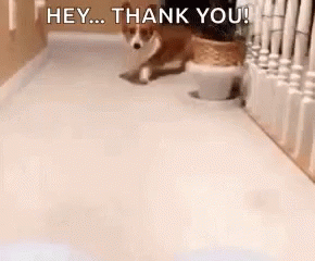 untitled.gif