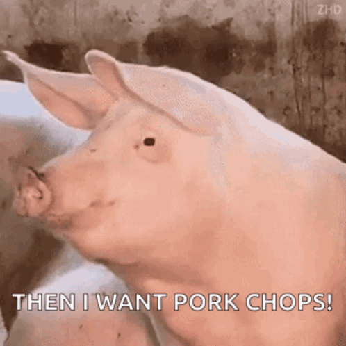 untitled.gif