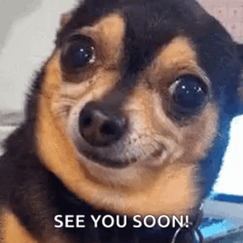 untitled.gif