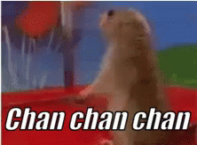 untitled.gif