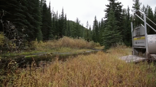 untitled.gif