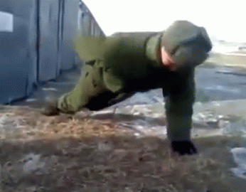 untitled.gif