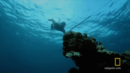 untitled.gif