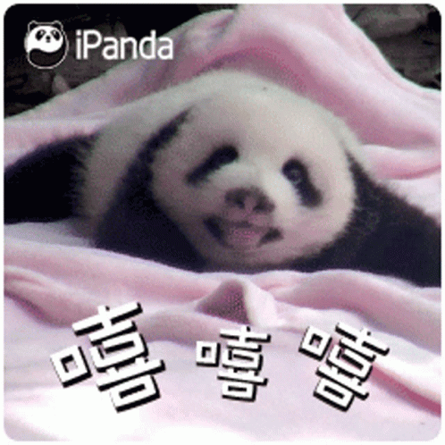 untitled.gif