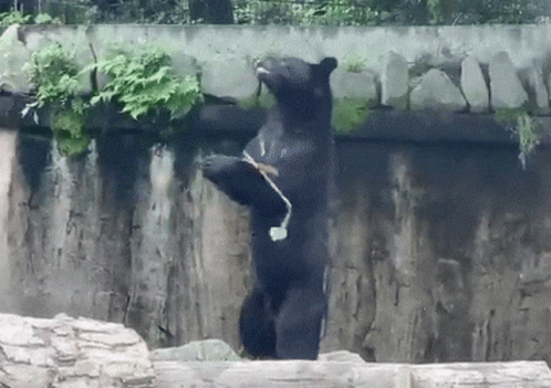 untitled.gif