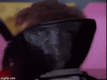 untitled.gif