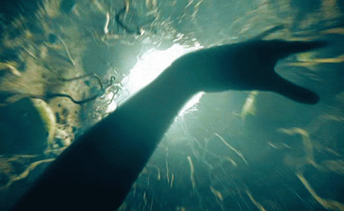untitled.gif