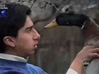untitled.gif