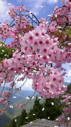 untitled.gif