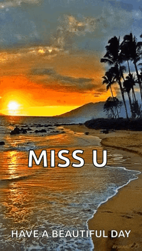 untitled.gif