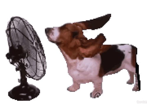 untitled.gif