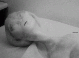 untitled.gif
