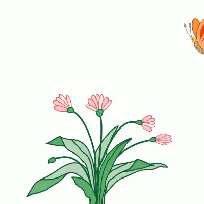 untitled.gif