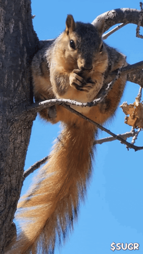 untitled.gif