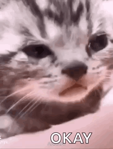 untitled.gif