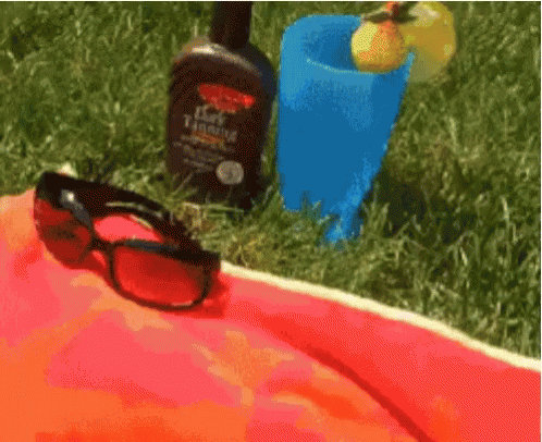 untitled.gif