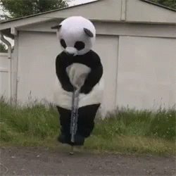 untitled.gif