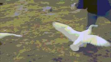 No Way What GIF by KINO