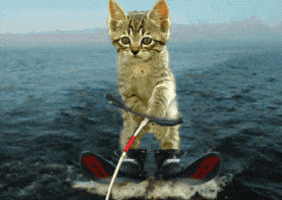 Happy Sunday Summer GIF by Lucas and Friends by RV AppStudios