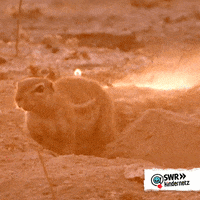Good Night Bedtime GIF