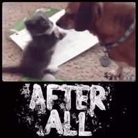 Tired Good Morning GIF by Fresh Cake