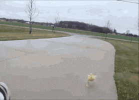 I Luv You GIF by GIPHY Studios 2021