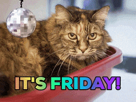 Happy Birthday GIF by Kirsten Hurley