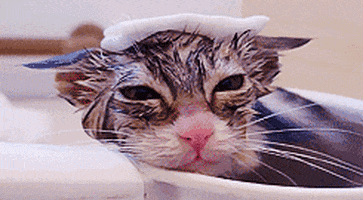 Friendship Love GIF