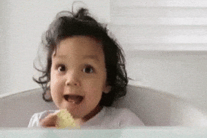 Beer Ok GIF by Busch