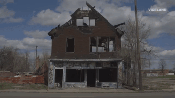 House Reaction GIF by MOODMAN