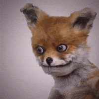 Sesame Street Art GIF by Animation Domination High-Def