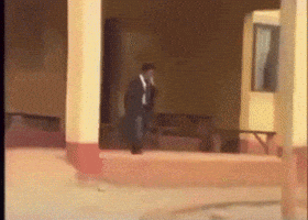 Paw Paw Reaction GIF