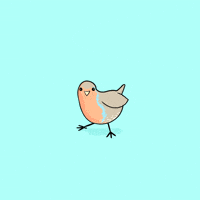 Bird Dancing GIF