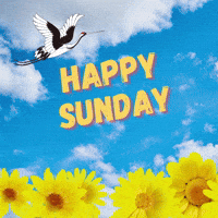 Happy Sunday GIF