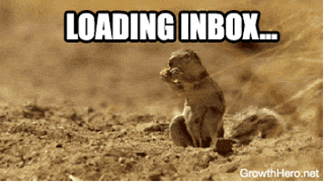 squirrel GIF