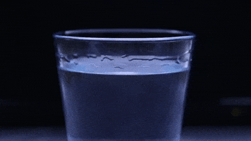 Water Glass Lol GIF by Mr. & Mrs. Panda