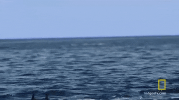 Tired Good Night GIF by Holler Studios