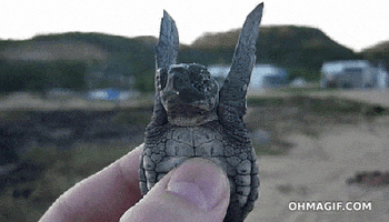 Good Morning Love GIF by joeyahlbum