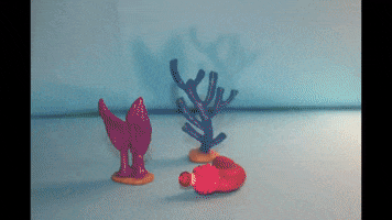 https://media0.giphy.com/media/ybO5sjTahgRFL6PKj1/200.gif