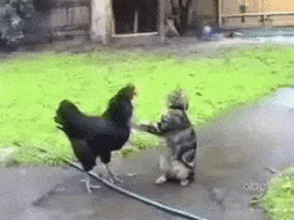 Make It Rain Money GIF