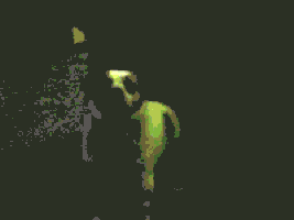 Happy Birthday GIF