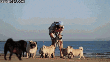 Best Friends Love GIF by Kennysgifs