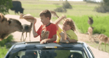 Read I Love You GIF by Pudgy Memez