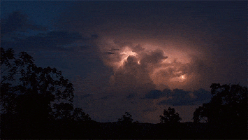 Sad Cry GIF by MOODMAN